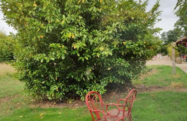 Gîte de la Maison du L.A.C - Foto 10