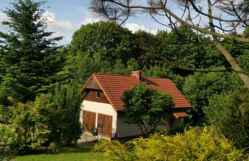 Jaworowy Stok z widokiem na góry i ogrodem - Foto 66