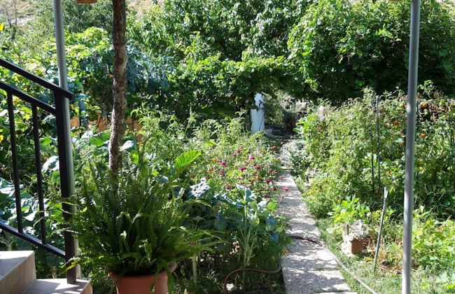 House With Large Garden, Right Next to the River - Foto 26