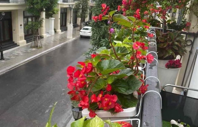 Vinhomes Ocean Park 2 -The Empire - Photo 63