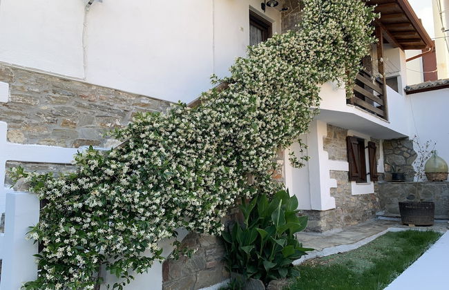 Beautiful Petrino 1880 - Photo 35