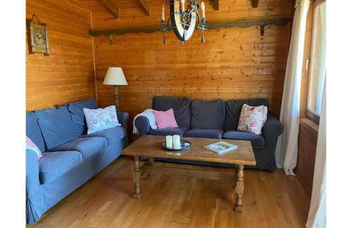 Dog-friendly Holiday Home in the Knull - Foto 33