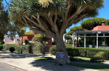 Apartamento Playa El Manantial - Foto 21