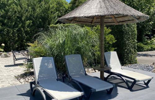 Les Rives des Habsbourg - Foto 28