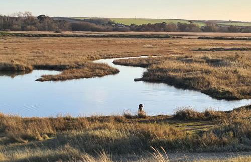 Brisley North Norfolk cosy cottage garden pub and walks - Foto 30