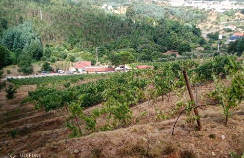 Quinta da Aldeia Nova - Foto 46