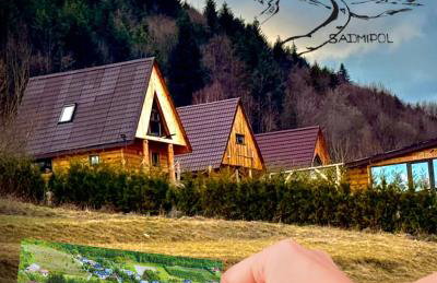 Wzgórze w Cieniu Lasu - Photo 18