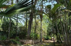 Rancho Fundo - Foto 8