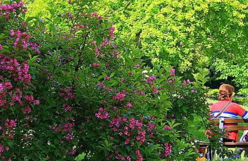 Holiday Home Ländliche Finca Casa da Rocha by Interhome - Foto 49