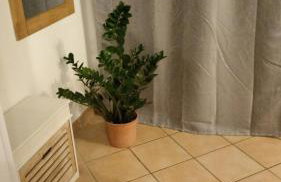 Ferienwohnung NatuRaum - Photo 46