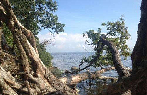 Ein-Steinwurf-zum-Ostseestrand-Ferienwohnung-Martha-mit-Terrasse - Foto 36
