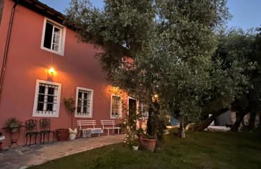 Podere Il Piantoneto - Foto 26