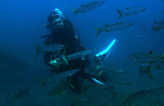 Baptême de plongée à Las Negras - Photo 8