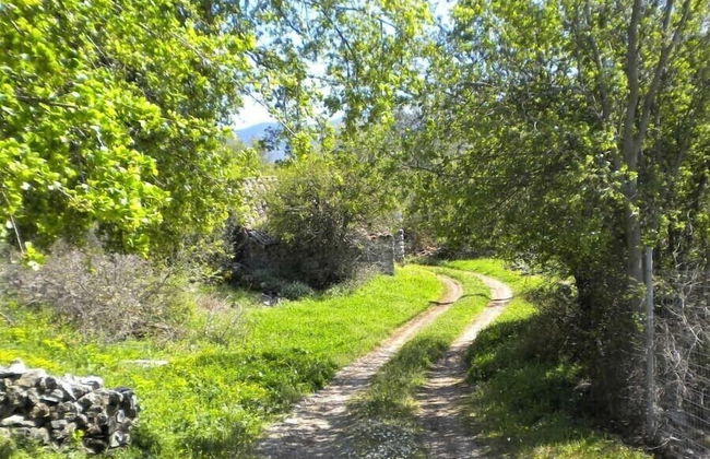 Arcadian Stone House For You - Photo 35