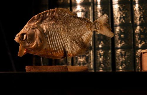 Beautiful Loft 130m2 Sun and free parking - Foto 33