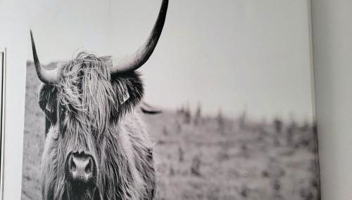 2 bedroom apartment with a pool - Foto 5