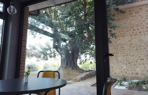 Il Mandorlo - Foto 59