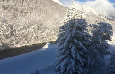 T2ideal vue imprenable sur la guisane - Photo 21