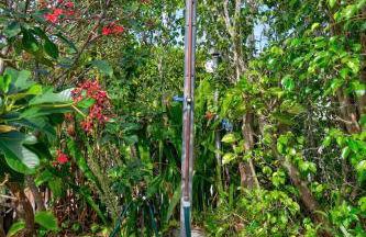 1926 Mediterranean Home with Heated Pool Sleeps 12 - Foto 12