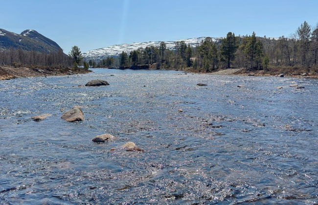 8 Person Holiday Home in Hovden-by Traum - Foto 20