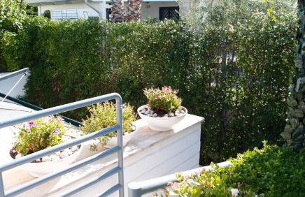 The black dog house - Foto 42