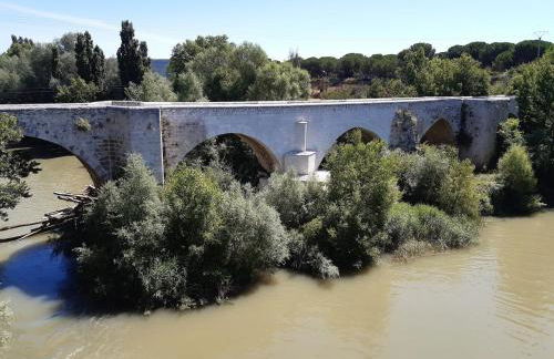 ALMA de la RIBERA - Foto 39