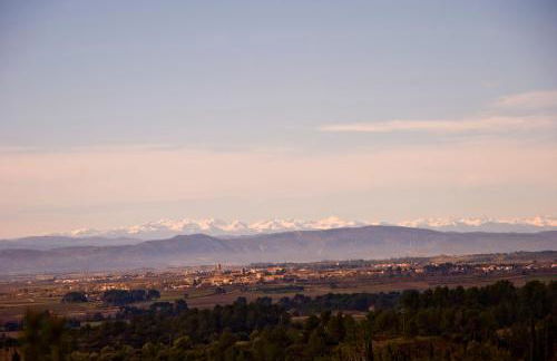 La petite Cigale - Foto 2