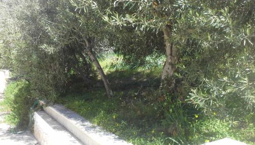 Villa Solinas - Foto 4