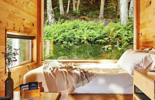 Postcard Cabins Wild Rose, Outdoor Collection by Marriott Bonvoy - Photo 20