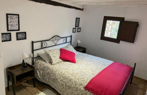 Los Paxarinos - Foto 22