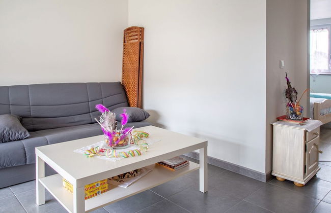 Elegant Holiday Home in Saint Louis With Garden - Foto 32