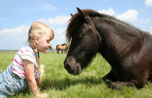 Erlebnis-Bauernhof Kliewe - Foto 60