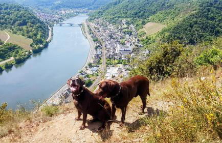 Ferienhaus Löwenherz - Foto 76