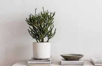 Chalet Hautbois - Family Chalet with 5 Bedrooms with Glacial views CHAMONIX - By Cozee Rentals - Foto 32