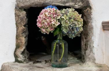 Casita - your home in Flores - Foto 37