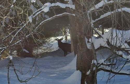 Tabià del Belli - Foto 71