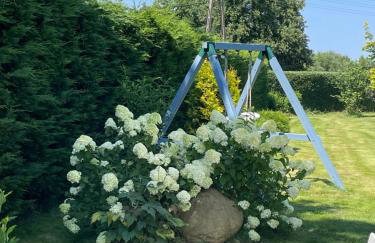 Niebieski Domek - Foto 77