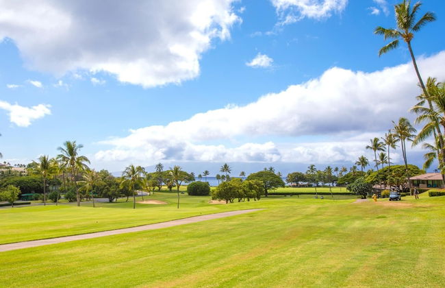 Maui Eldorado MEL-H207 by KBM - Foto 15