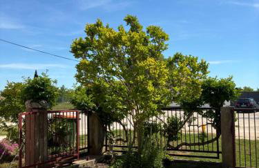 Studio Apartmani Sladakovic - Foto 46