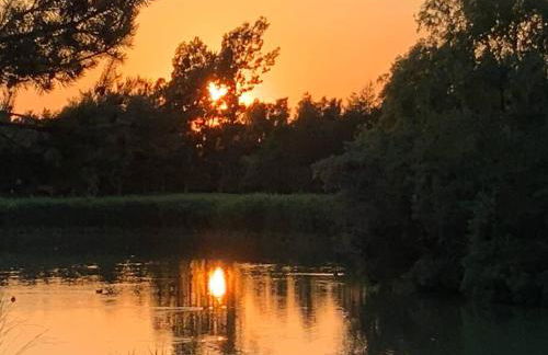 Country Gem - Foto 35