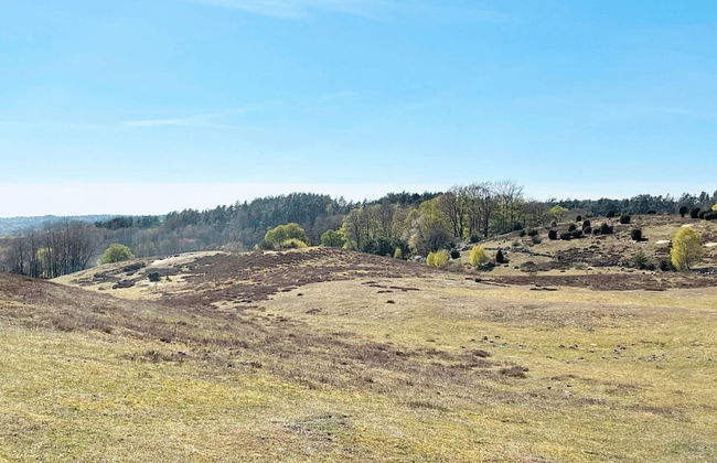 4 Person Holiday Home in Ahus-by Traum - Foto 7