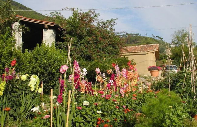 Adorable Tuscan Cottage With Beautiful Garden Just Outside Lucca, Sleeps 2 - Foto 14