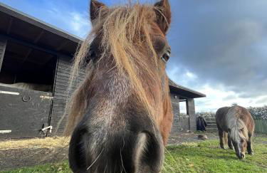 Sunnybank by Wigwam Holidays - Photo 13