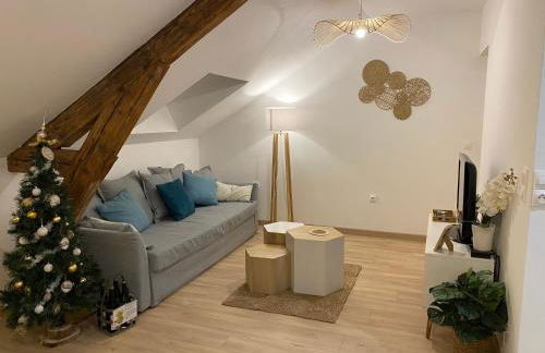 Chez Gustave charmant T2, 4 min place Ducale - Foto 15