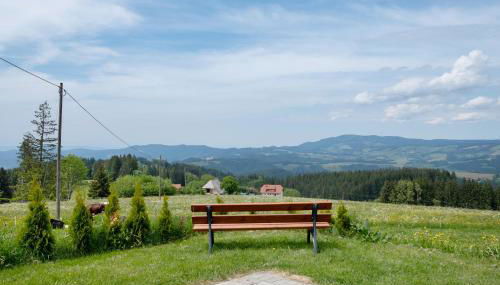 Bäuerleshütte - Foto 5