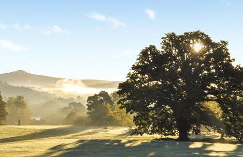 The Library - Uk46649 - Photo 17