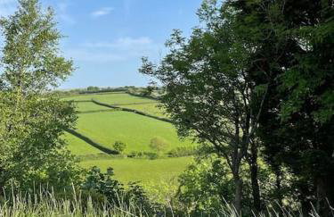 Fern, Moor and Sea Holidays, stunning views over Exmoor near the sea - Foto 29
