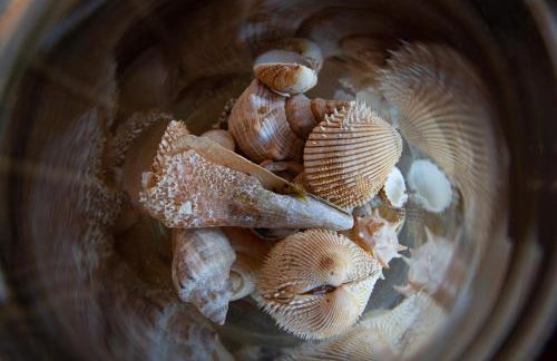 Villa Pasithea - Foto 23