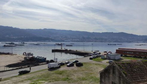 PISO PALMÁS - Foto 2