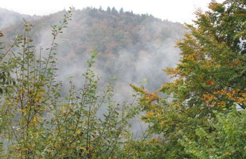 FeWo Harz Haennig 1 - Foto 51